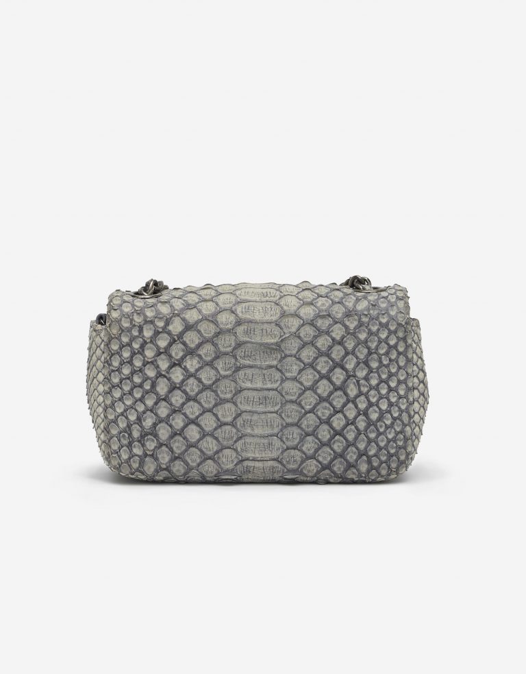 Chanel Timeless Extra Mini Python Dusty Blue Saclàb Back