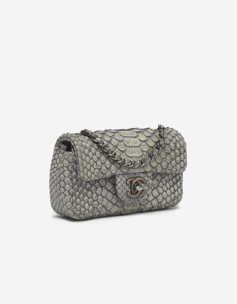 Chanel Timeless Extra Mini Python Dusty Blue Saclàb Side