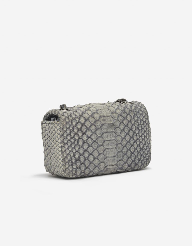 Chanel Timeless Extra Mini Python Dusty Blue Saclàb Side Back