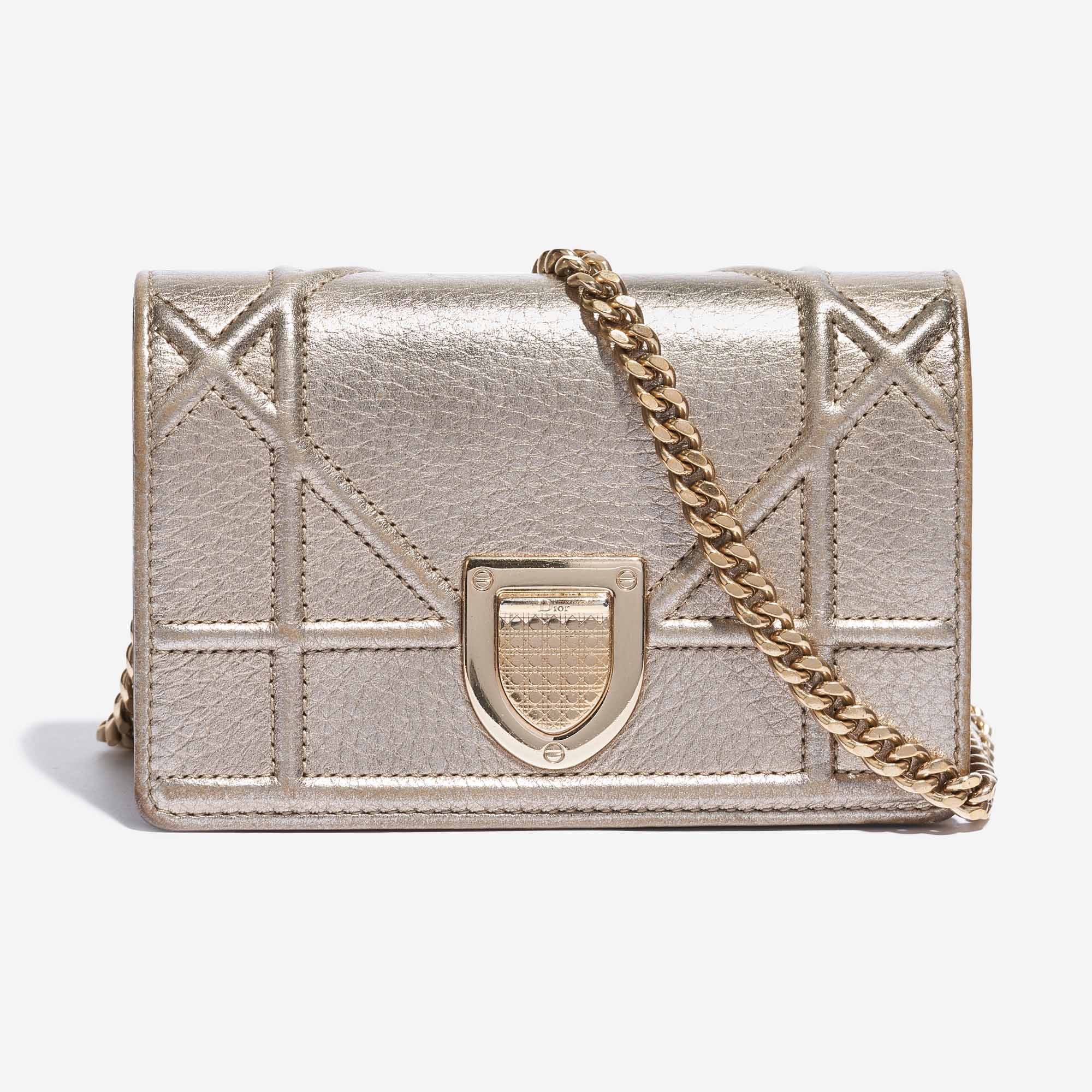 Dior Small Diorama Bag