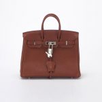 Hermes Birkin 25 Togo Sienne Saclàb Front