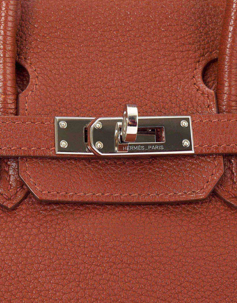 Hermes Birkin 25 Togo Sienne Saclàb Clasp