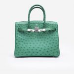Hermès Birkin 30 Ostrich Vert Vertigo Saclàb Open