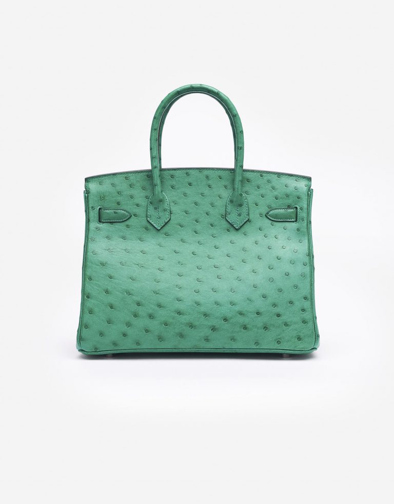 Hermès Birkin 30 Ostrich Vert Vertigo Saclàb Back