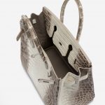 Hermès Birkin 30 Niloticus Himalaya Blanc
