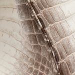 Hermès Birkin 30 Niloticus Himalaya Blanc