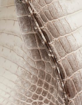 Hermès Birkin 30 Niloticus Himalaya Blanc