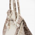 Hermès Birkin 30 Niloticus Himalaya Blanc