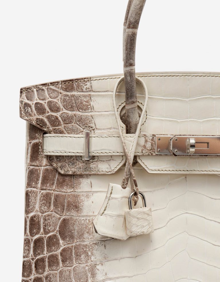 Hermès Birkin 30 Niloticus Himalaya Blanc