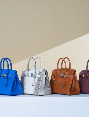 Best Complete Hermès Handbag Leather Guide