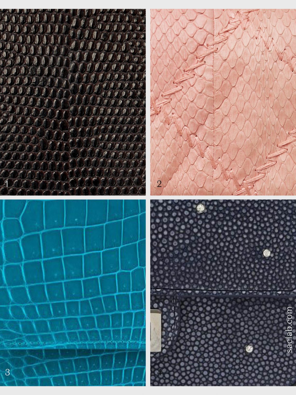 How to Clean, Store and Care for Your Chanel Bag SACLÀB