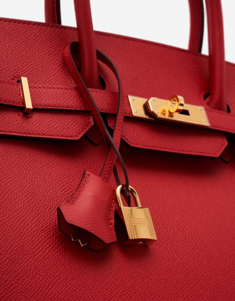 Hermès Birkin Bag 35 Togo Bougainvillier