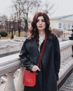 Collection de sacs à main de luxe Hermès Evelyne Mini en Rouge Casaque