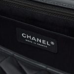 Limited Edition Chanel Timeless Medium Lambskin Black Ladybug