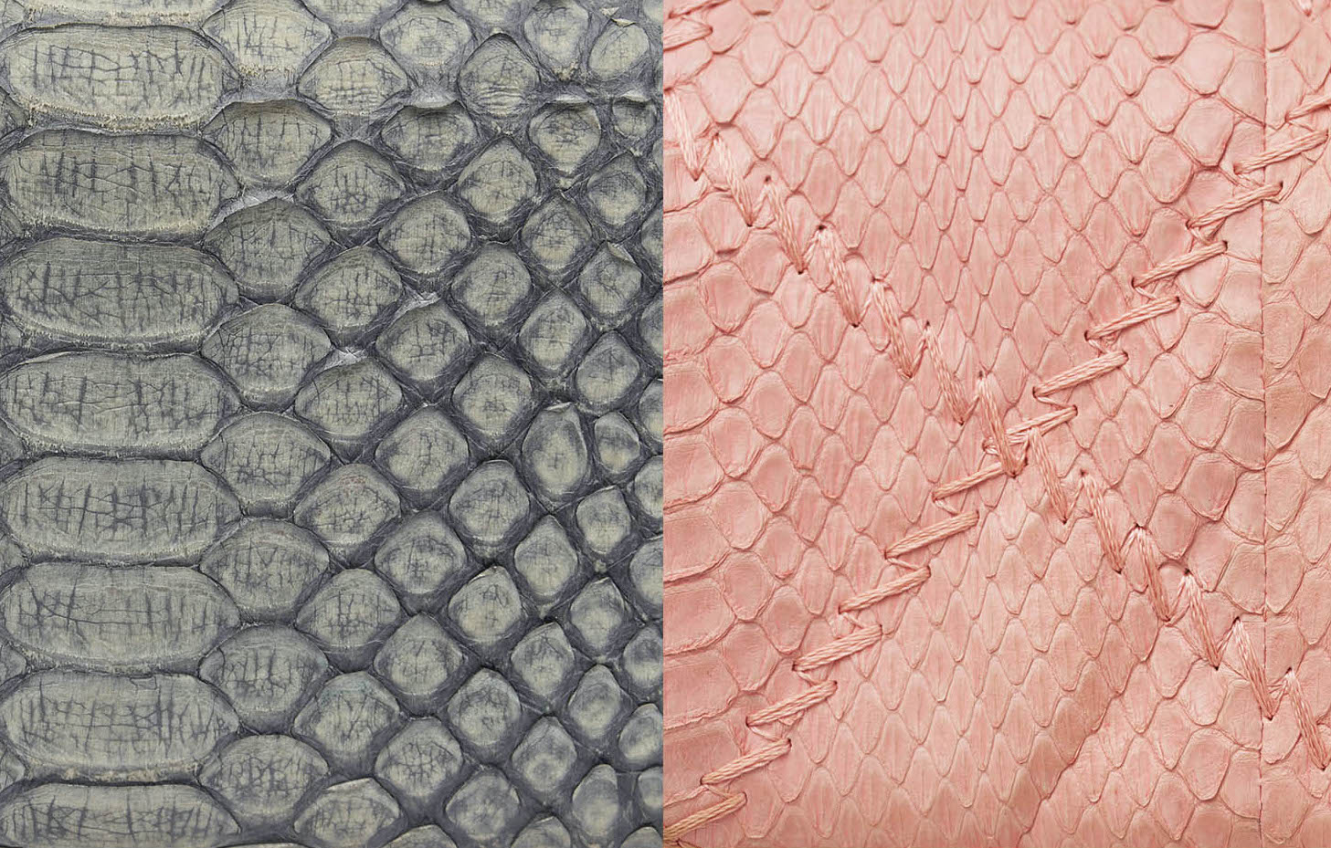 Chanel Python Skin Exotic Handbags SACLÀB