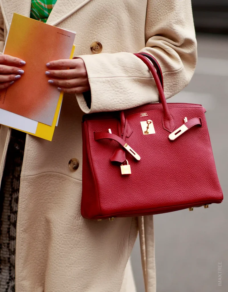 Hermès Birkin Bag in Red