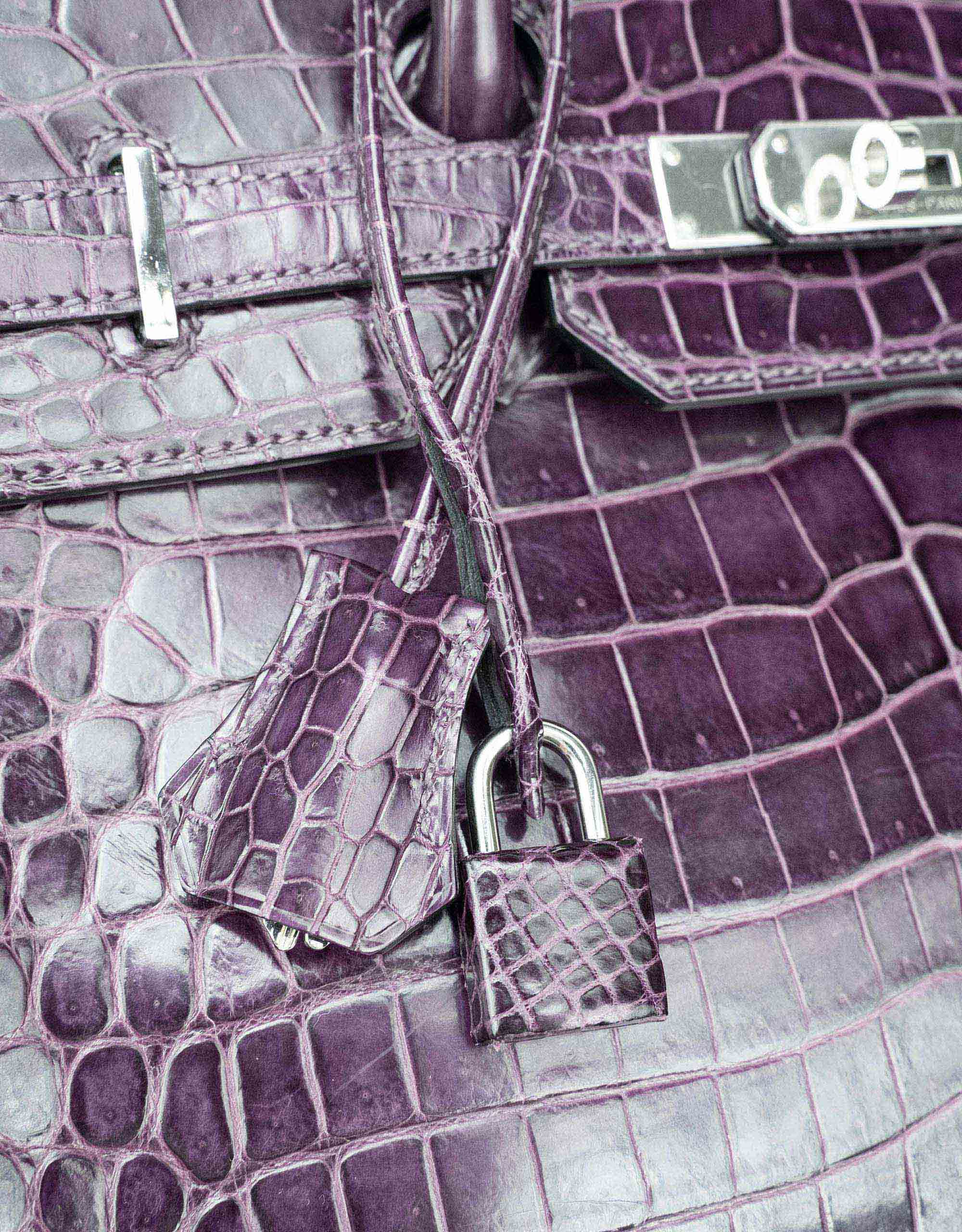 HERMÈS Violet Purple Croc 35 PHW Birkin – portluxe