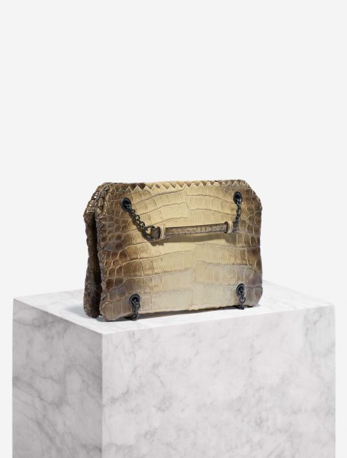 Pre-owned Bottega Veneta bag Double Chain Shoulder Crocodile Himalaya Brown, White Side Front | Sell your designer bag on Saclab.com