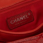 Chanel Timeless Medium Python Red