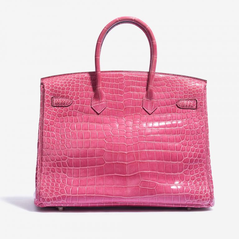 Hermès Birkin 35 Porosus Crocodile Lisse Rose Tyrien Back