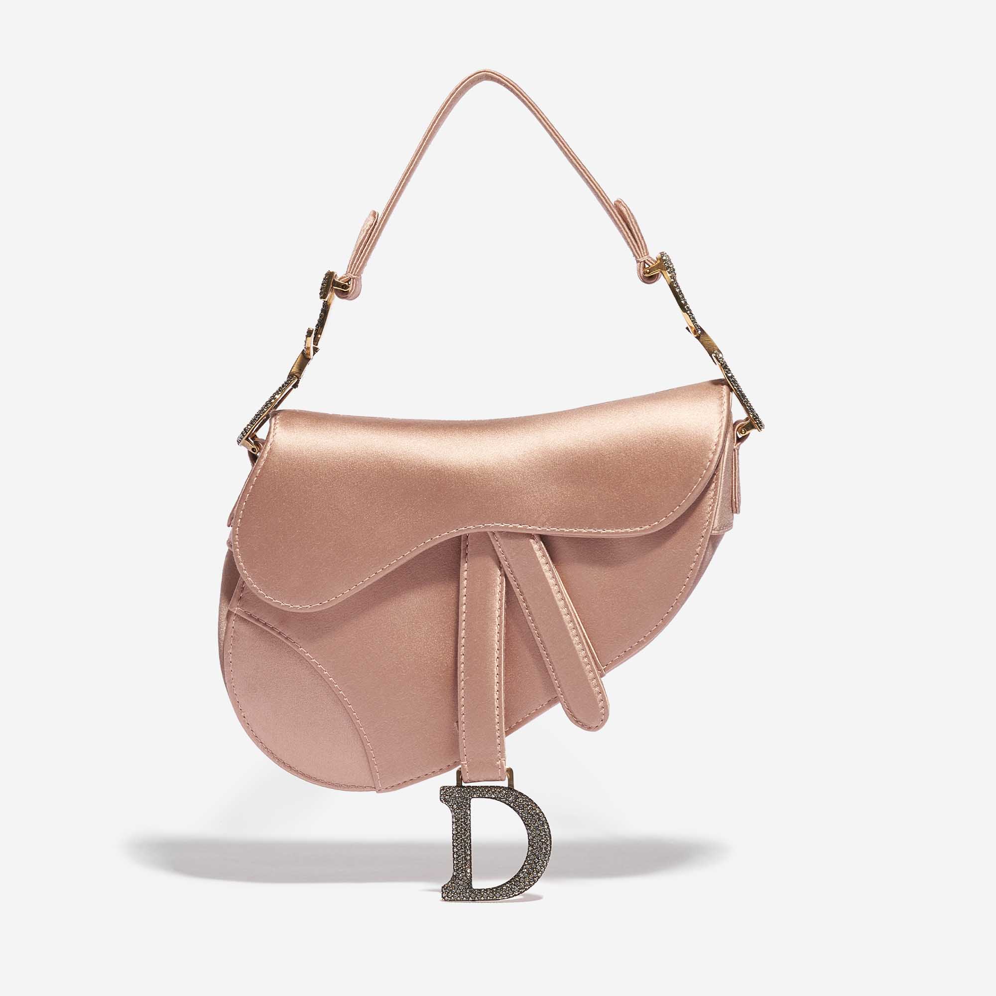 Christian Dior Blush Saddle Ultra Matte Mini Bag  The Closet
