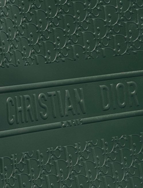 Dior Booktote Large Calf Green