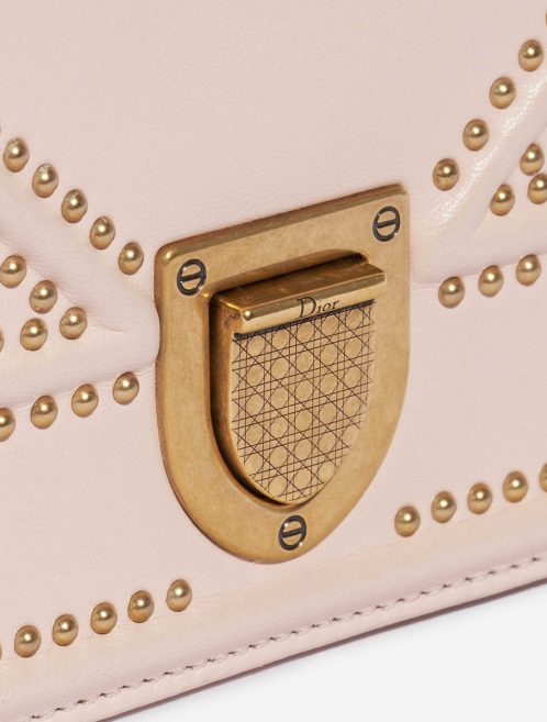 Dior Diorama mittelgroße Tasche Kalbsleder Rosa 