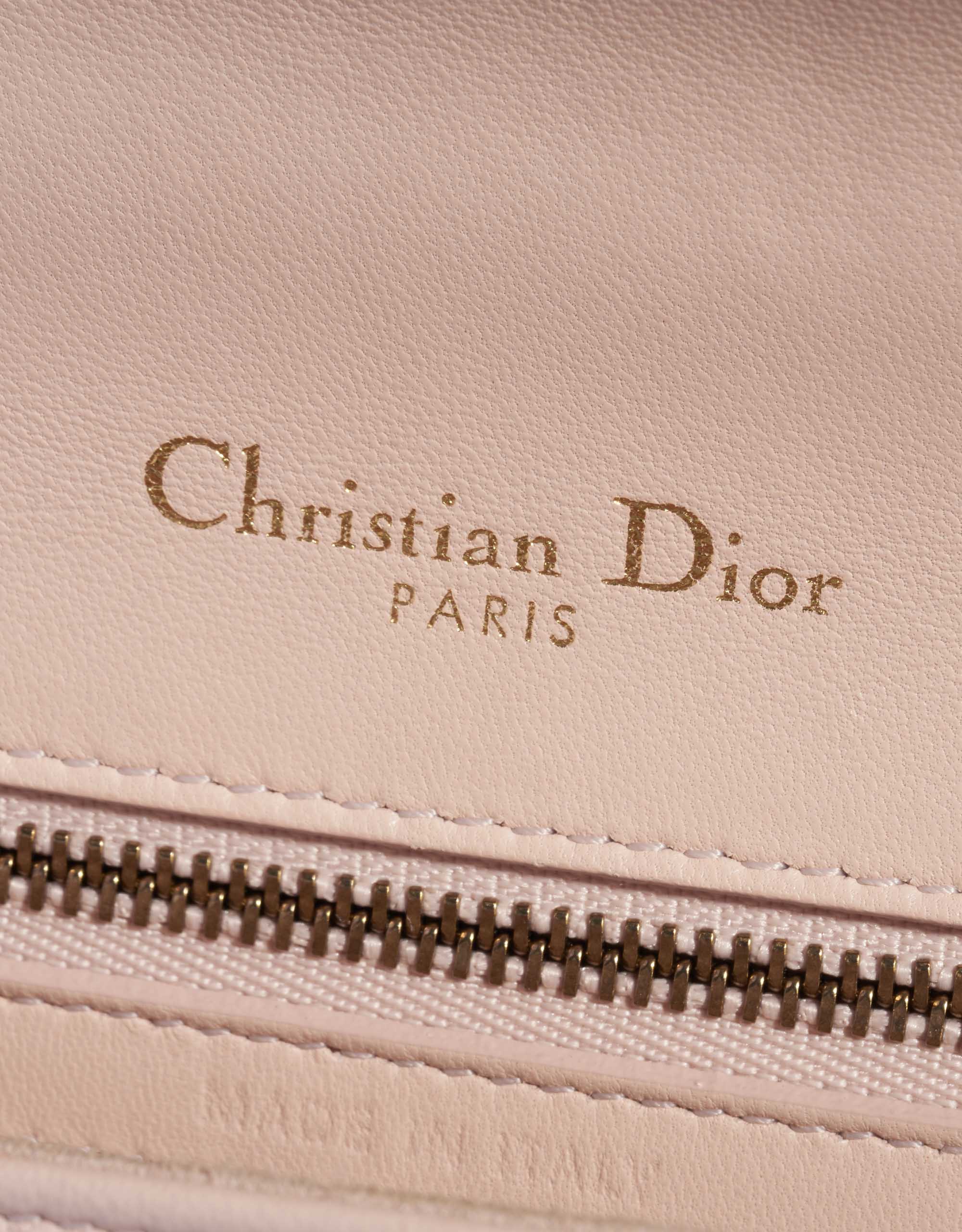 Dior Diorama Taille Moyenne Veau Rose Clair