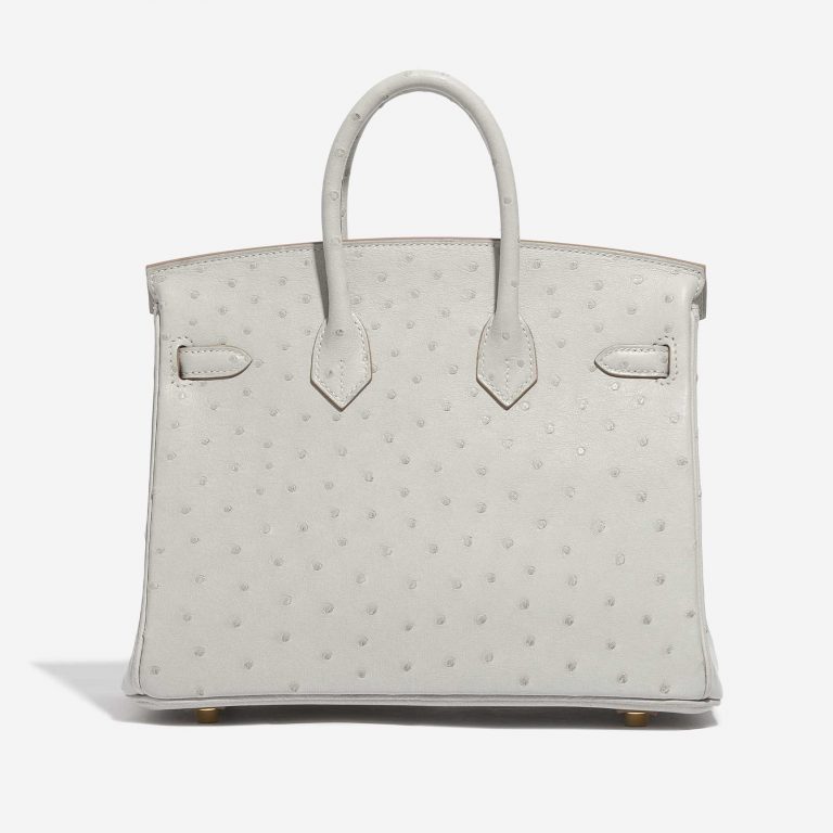 Hermès Birkin 25 Ostrich Gris Perle