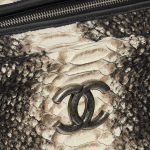Pre-owned Chanel bag Shopping Tote Python Black / Beige Beige, Black Closing System | Sell your designer bag on Saclab.com