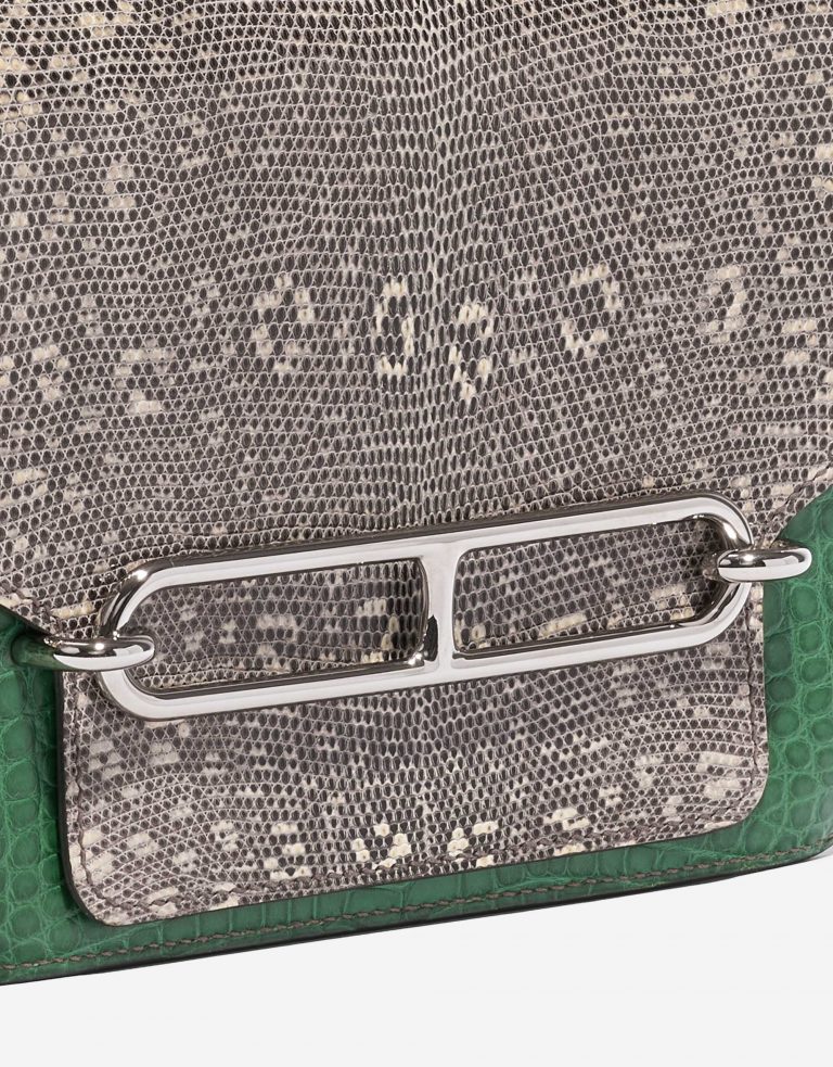 Pre-owned Hermès bag Roulis 18 Ombre Lizard / Matte Alligator Vert Cactus Green Side Front | Sell your designer bag on Saclab.com