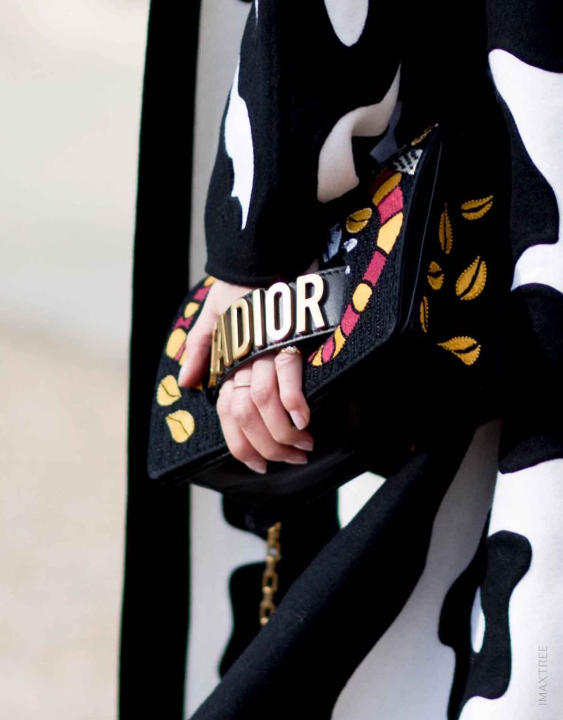 The 6 Most Iconic Dior Bags to Invest in