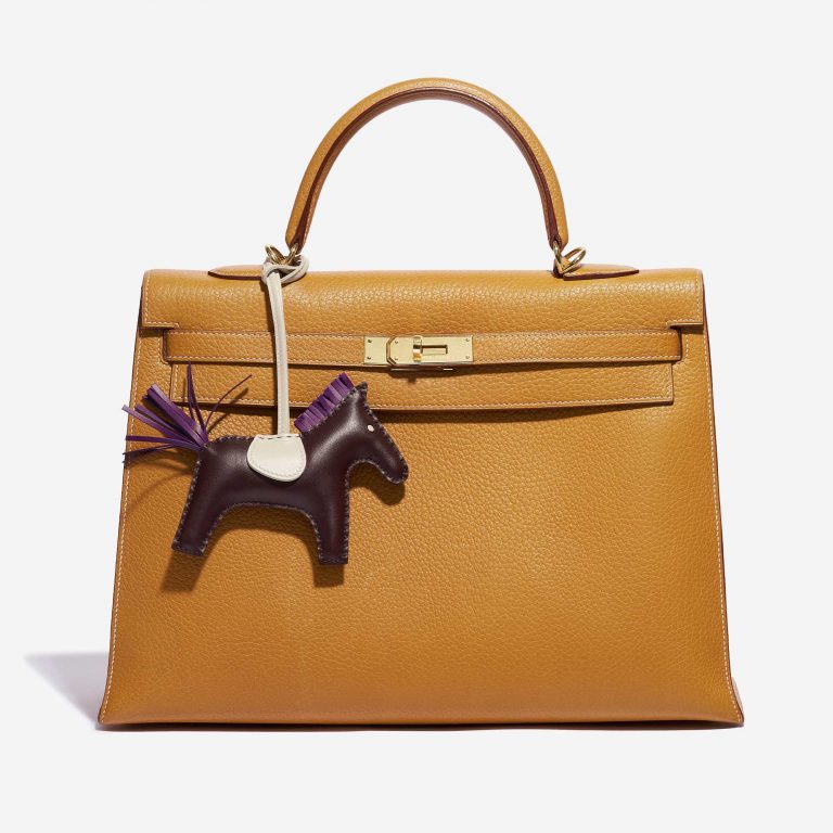 Hermès Rodeo MM Swift Chocolate / Anemone / Craie