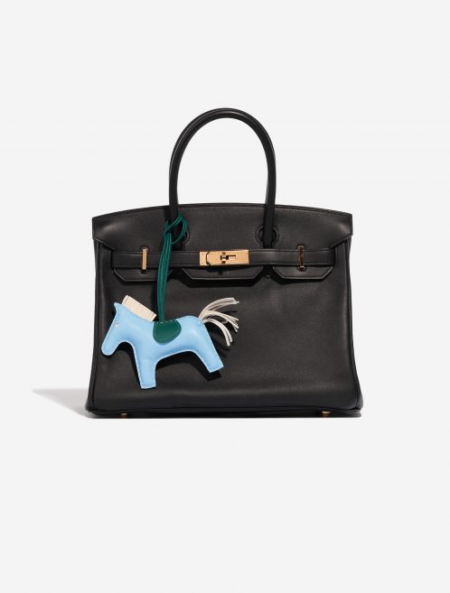 Pre-owned Hermès bag Rodeo MM Milo Lamb Bleu Céleste / Beton / Malachite Beige, Blue, Green Front | Sell your designer bag on Saclab.com