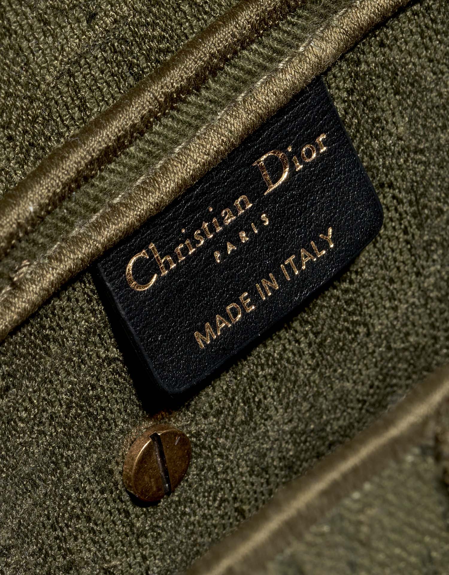 Pre-owned Dior bag Saddle Medium Canvas Green Green Logo | Sell your designer bag on Saclab.com