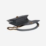 Pre-owned Dior bag Diorama Medium Calf Gray Grey Inside | Sell your designer bag on Saclab.com