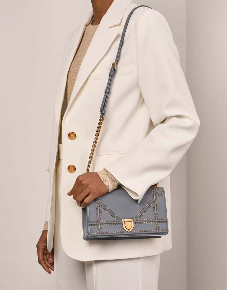 Pre-owned Dior bag Diorama Medium Calf Gray Grey Front | Sell your designer bag on Saclab.com