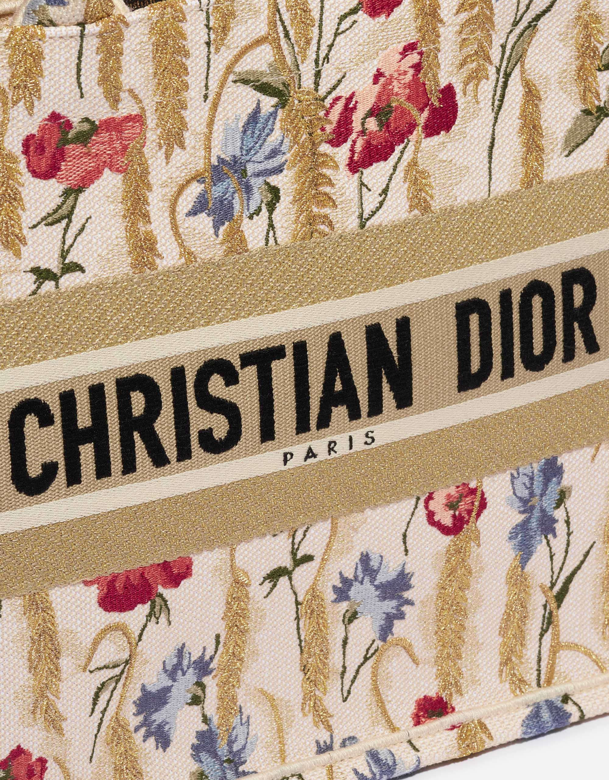 Christian Dior Book Tote In-Depth Review, What Fits inside and Pricing