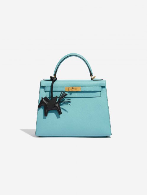 Pre-owned Hermès bag Rodeo Pegasus PM Milo Lamb Black Black Front | Sell your designer bag on Saclab.com