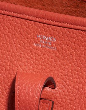 5 Things We Love about the Hermes Evelyne – The Suburban Socialite