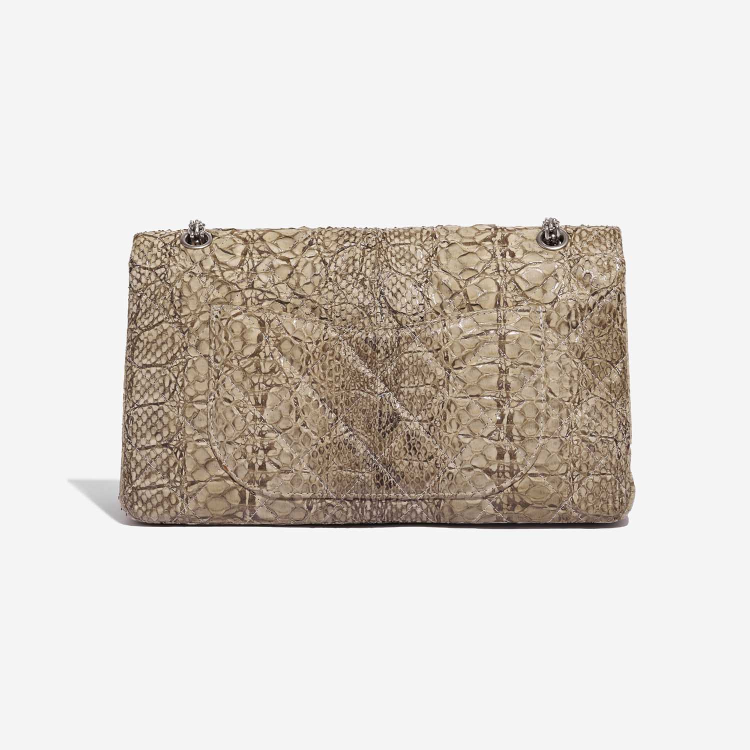 Pre-owned Chanel bag 2.55 Reissue 227 Python Natural Beige Beige Back | Sell your designer bag on Saclab.com