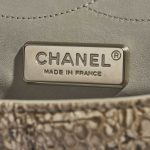 Pre-owned Chanel bag 2.55 Reissue 227 Python Natural Beige Beige Logo | Sell your designer bag on Saclab.com