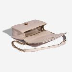 Pre-owned Dior bag Diorama Medium Calf Rose Rose Inside | Sell your designer bag on Saclab.com