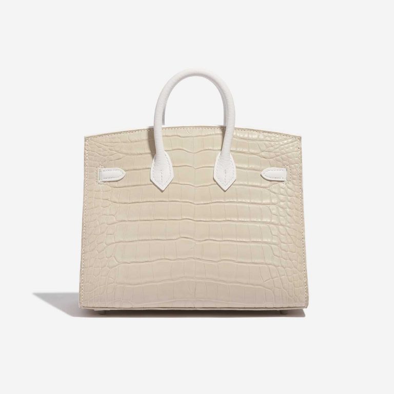 Pre-owned Hermès bag Birkin 20 Faubourg Matte Alligator / Togo / Epsom / Swift White / Beton / Orange H / Blue Brume / Craie Beige, White Back | Sell your designer bag on Saclab.com