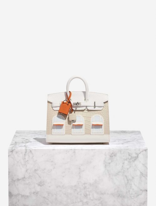 Pre-owned Hermès bag Birkin 20 Faubourg Matte Alligator / Togo / Epsom / Swift White / Beton / Orange H / Blue Brume / Craie Beige, White Front | Sell your designer bag on Saclab.com