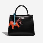 Pre-owned Hermès bag Rodeo PM Milo Lamb Feu / Blue Lagon / Rose Blue, Orange, Rose Detail | Sell your designer bag on Saclab.com