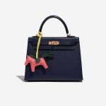 Pre-owned Hermès bag Rodeo PM Milo Lamb Rose Lipstick / Vert Cypress / Lime Green, Rose, Yellow Detail | Sell your designer bag on Saclab.com