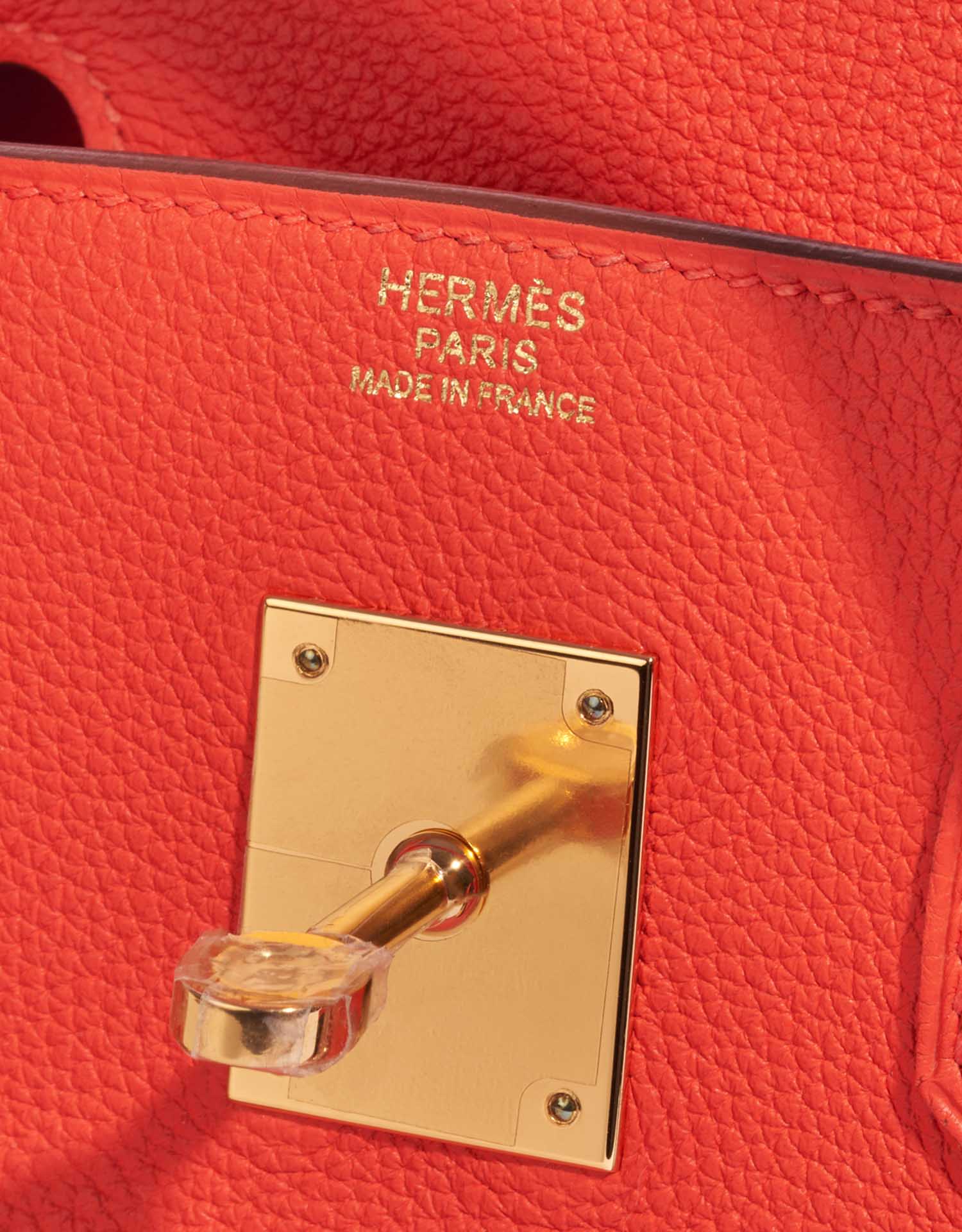 Hermes Birkin Handbag Capucine Togo with Palladium Hardware 30