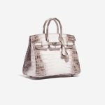 Pre-owned Hermès bag Birkin 25 Niloticus Crocodile Himalaya Blanc Brown, White Side Front | Sell your designer bag on Saclab.com