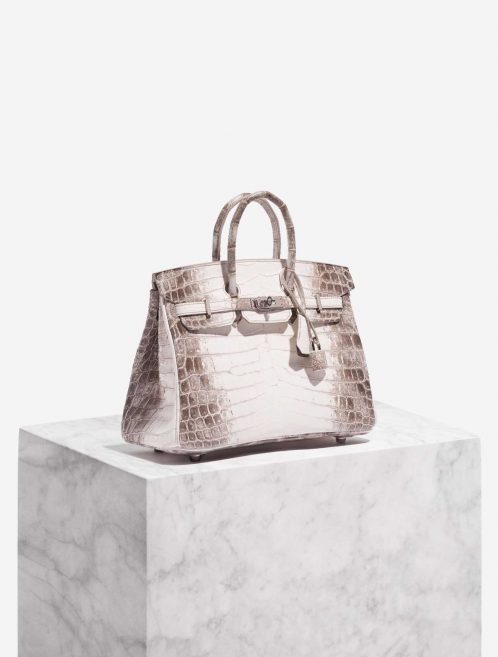 Pre-owned Hermès bag Birkin 25 Niloticus Crocodile Himalaya Blanc Brown, White Front | Sell your designer bag on Saclab.com